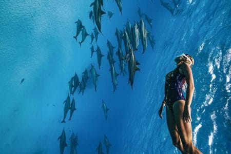 Sataya dolphin house