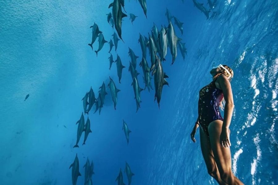 Sataya dolphin house